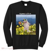 Silly Dog With Lollipop Meme Gen Z Brainrot Slang Meme Sweatshirt thumb 0