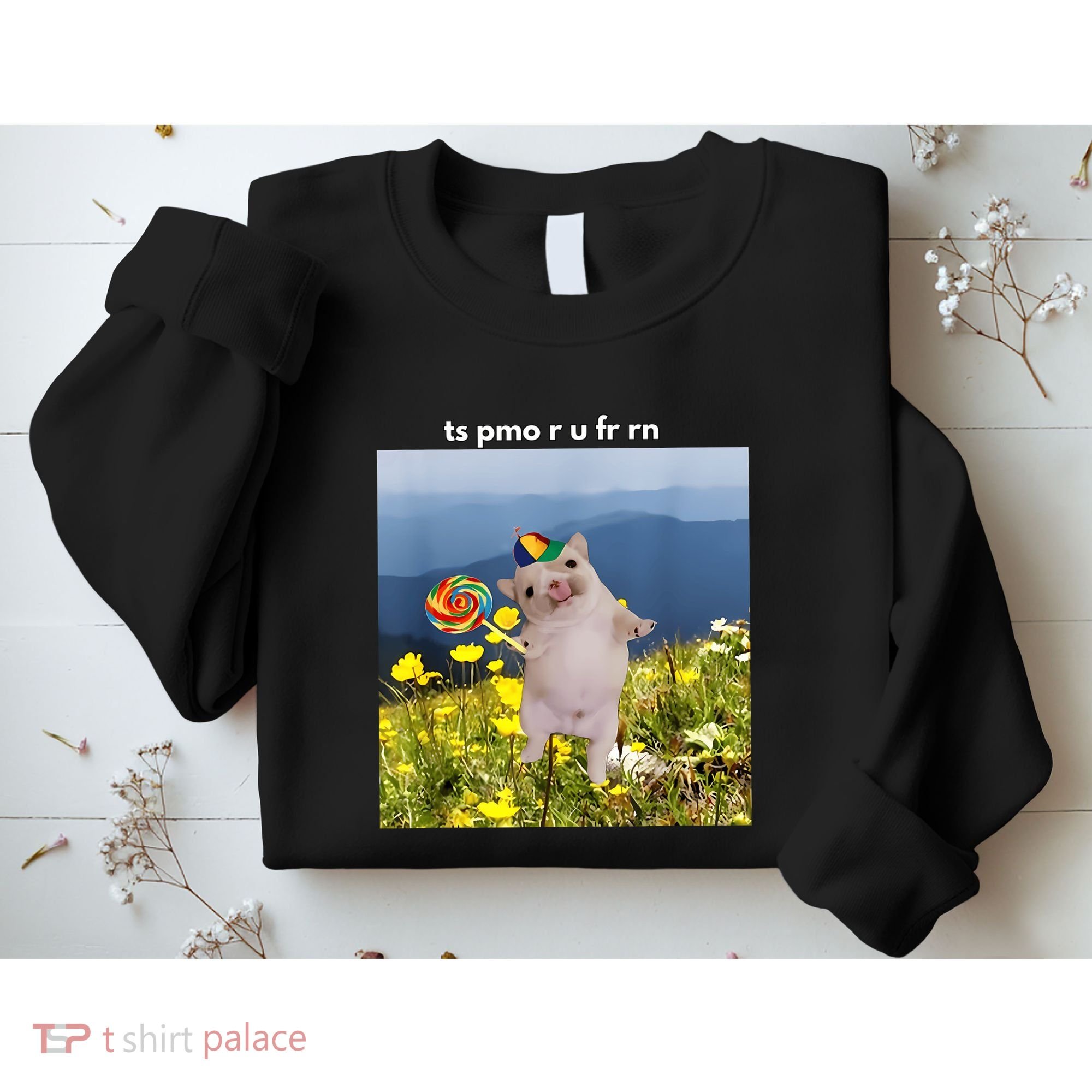 Silly Dog With Lollipop Meme Gen Z Brainrot Slang Meme Sweatshirt