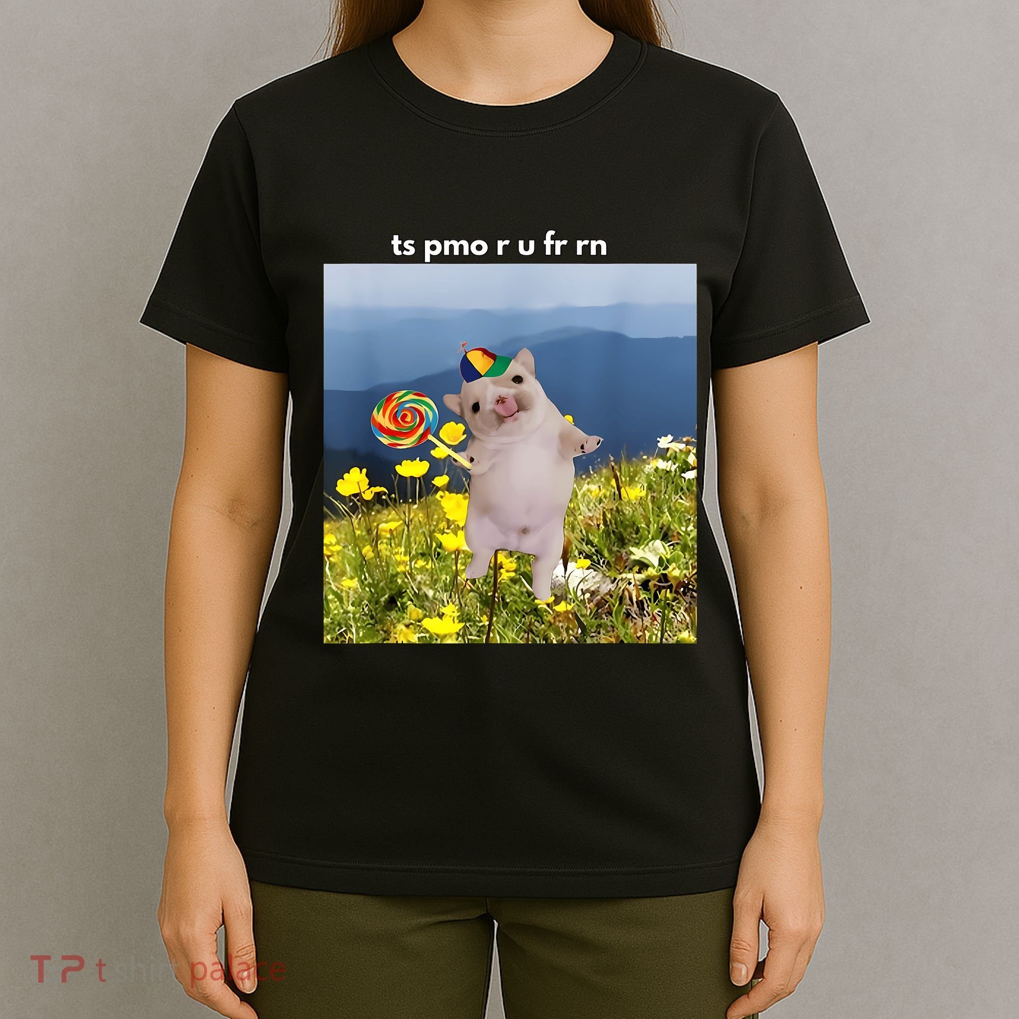 Silly Dog With Lollipop Meme Gen Z Brainrot Slang Meme T-Shirt