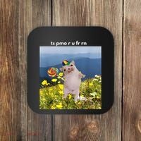 Silly Dog With Lollipop Meme Gen Z Brainrot Slang Meme Coaster thumb 0