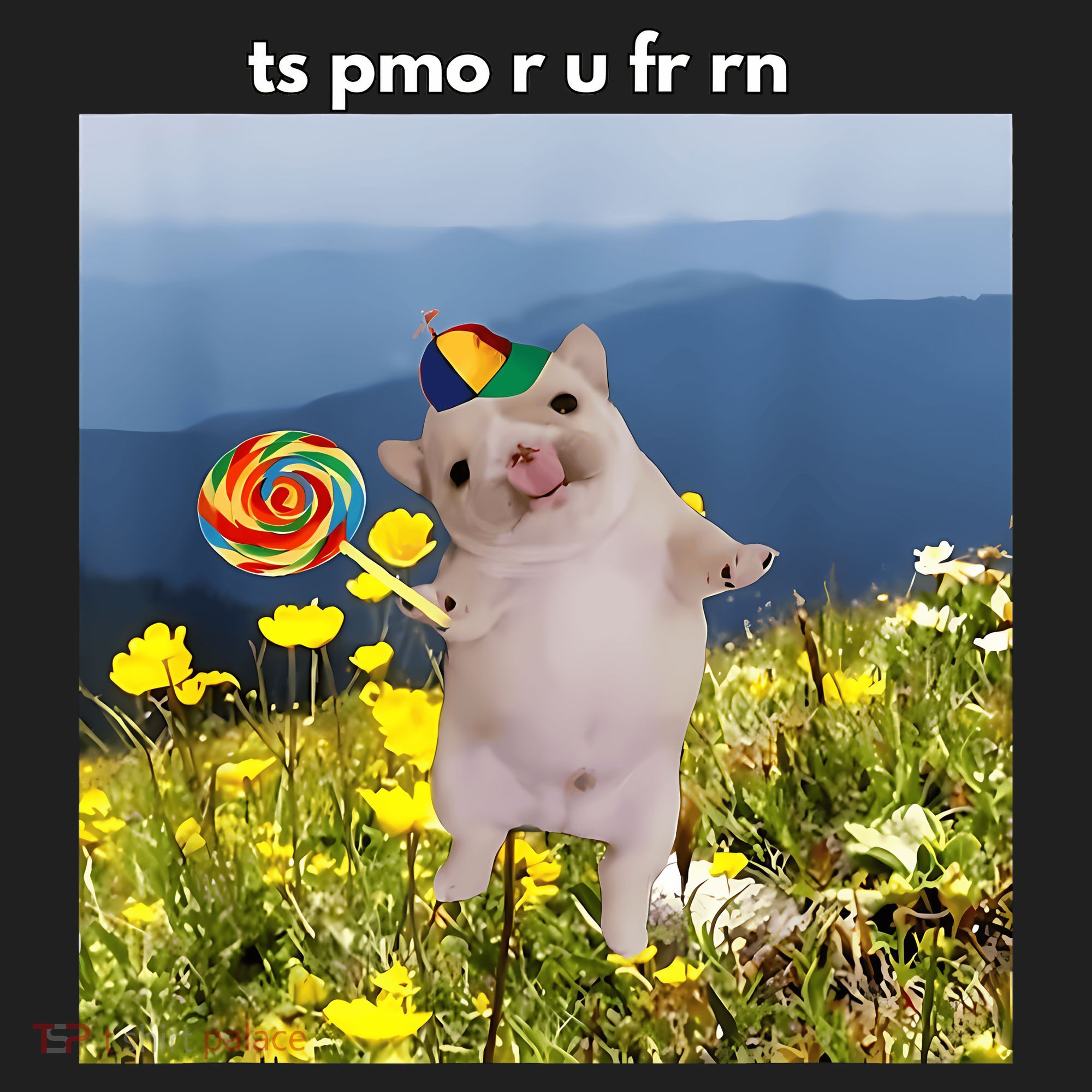 Silly Dog With Lollipop Meme Gen Z Brainrot Slang Meme Hat