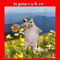 Silly Dog With Lollipop Meme Gen Z Brainrot Slang Meme Santa Hat thumb 1