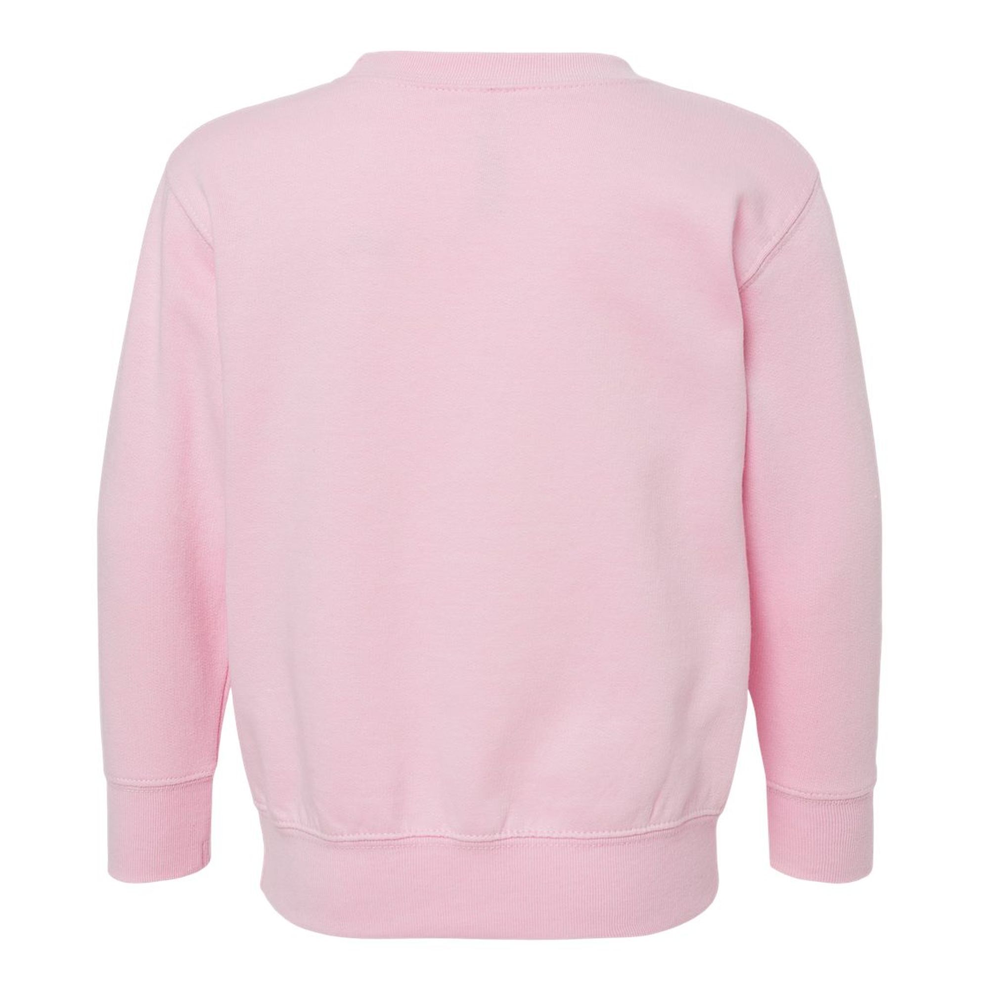 Sister EST 2026 Toddler Sweatshirt
