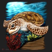 Sea Turtle Ocean Beanie thumb 2