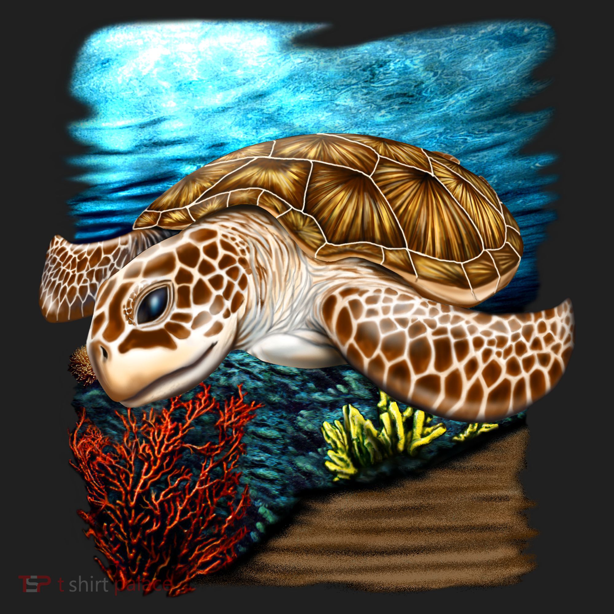Sea Turtle Ocean Beanie