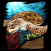 Sea Turtle Ocean Women's Long Sleeve Shirt thumb 2