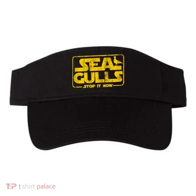Visor