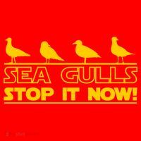 Seagulls Stop it Now Funny Meme Santa Hat thumb 1