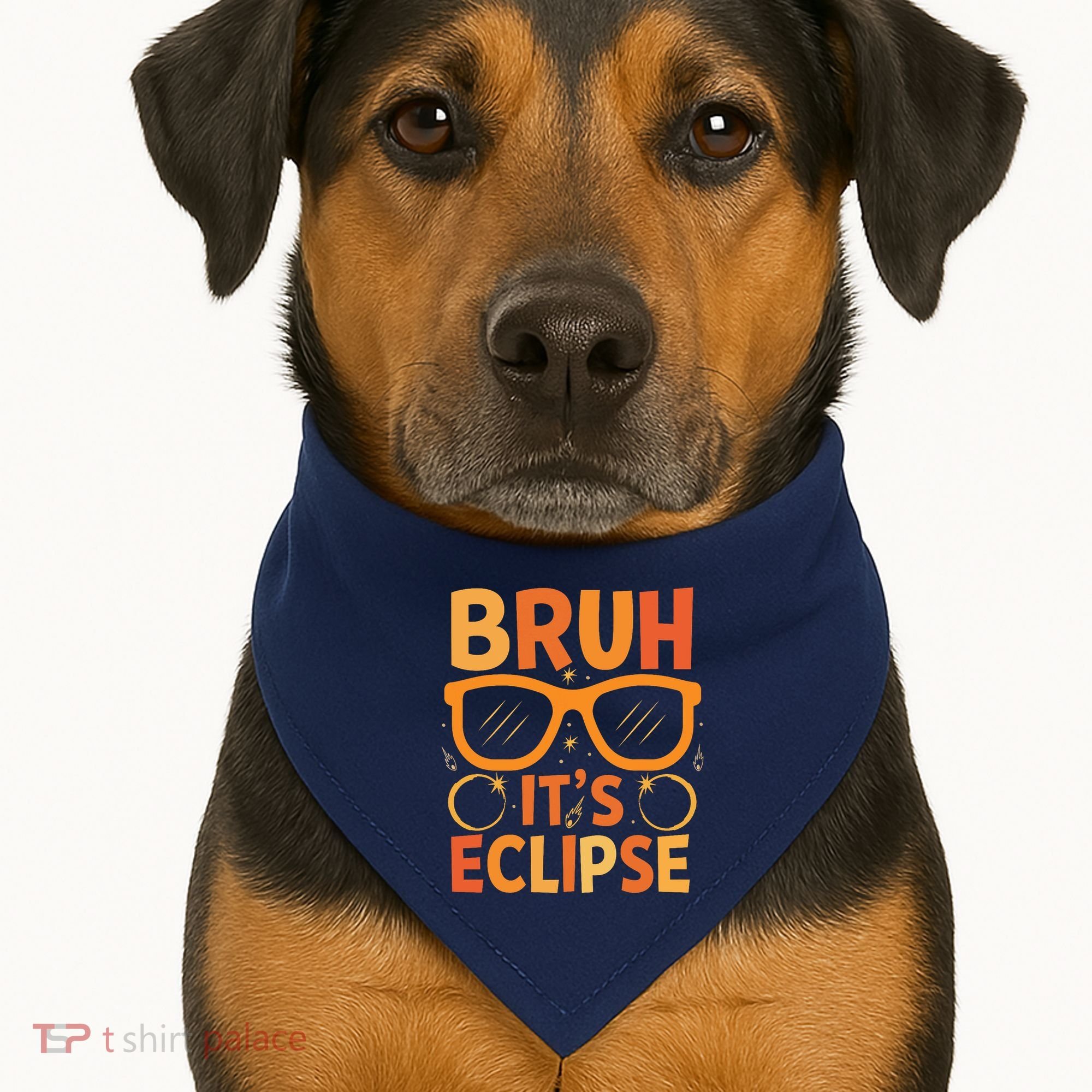 Solar Eclipse Bruh Its Eclipse USA-Made Doggie Bandana