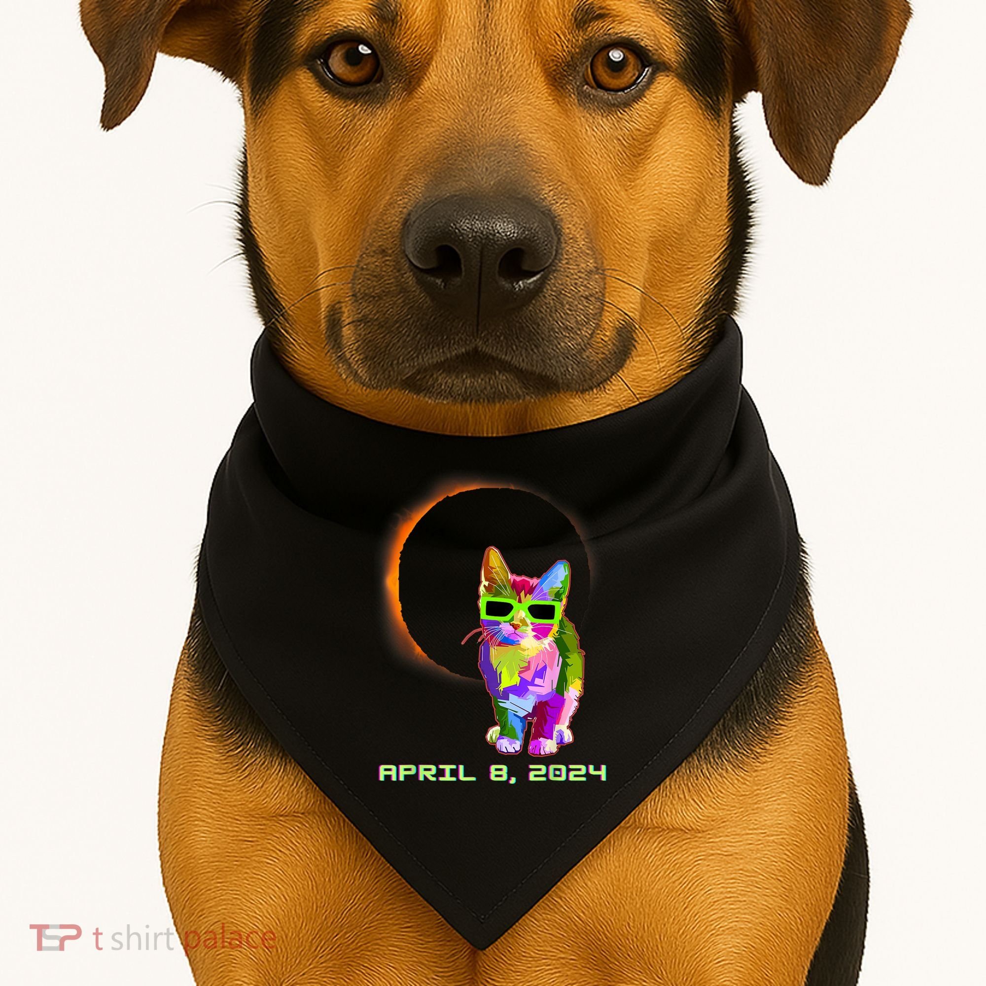 Solar Eclipse Cat Wearing Solar Eclipse Glasses USA-Made Doggie Bandana