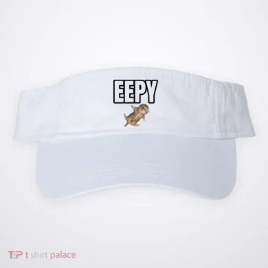 Visor