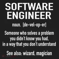 Software Engineer Developer Definition For Coder Programmer Beanie thumb 2