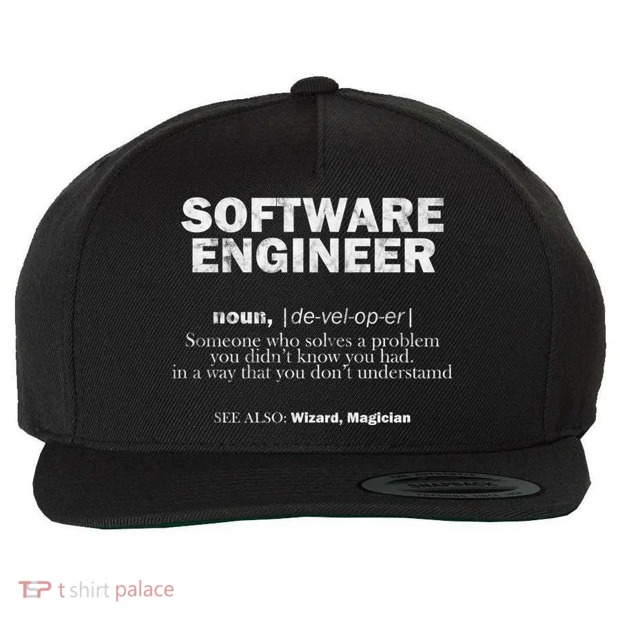 Software Engineer Definition Coder Cute Gift Wool Snapback Cap