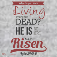 Seek Living Among Dead He Is Risen Jesus Toddler T-Shirt thumb 2
