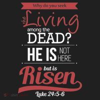 Seek Living Among Dead He Is Risen Jesus Tumbler thumb 3