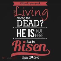 Seek Living Among Dead He Is Risen Jesus Women's Tank Top thumb 5