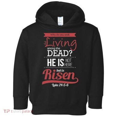 Seek Living Among Dead He Is Risen Jesus Toddler Hoodie