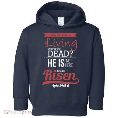 Toddler Hoodie