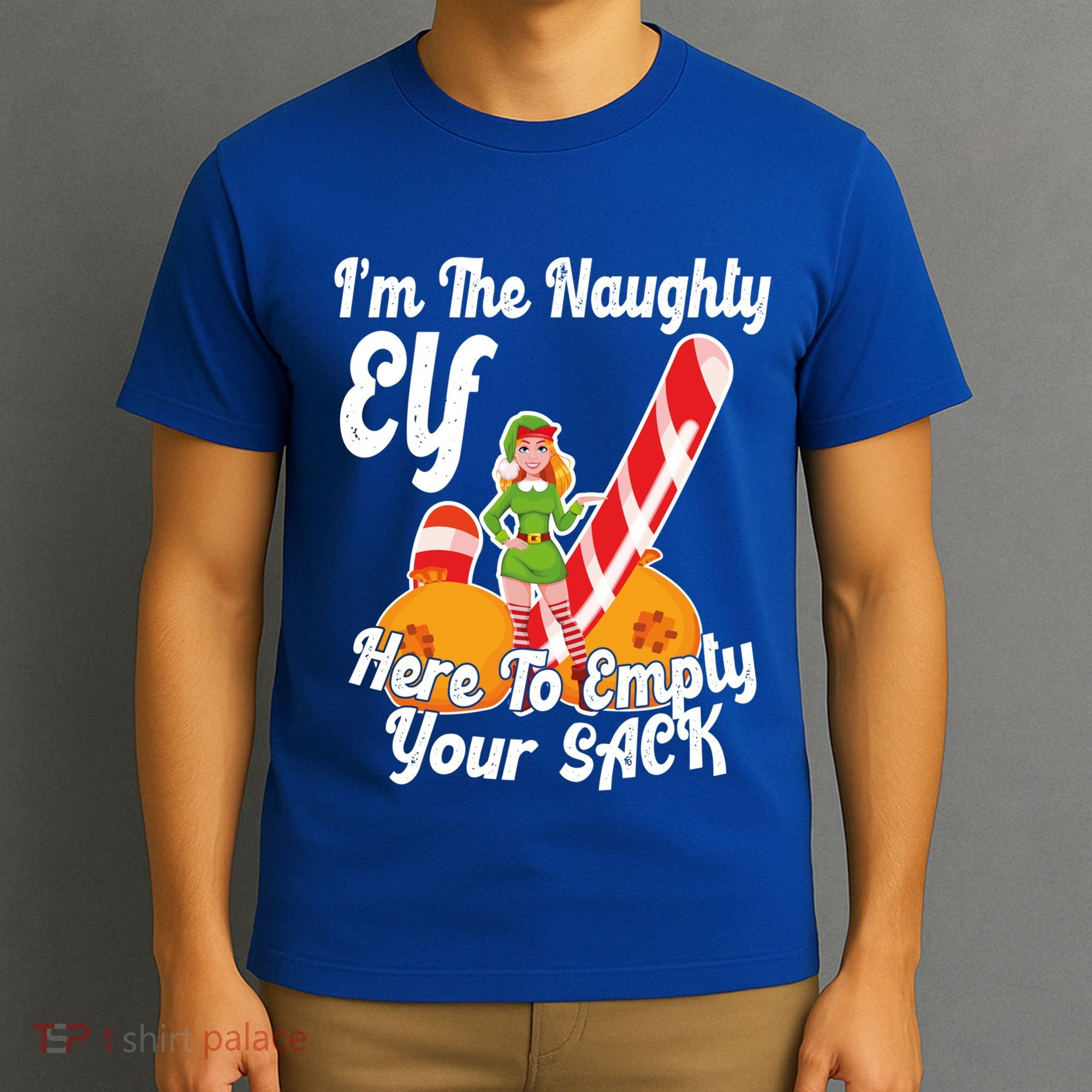 Sexy Elf Here Empty Your Sack Rude Naughty Christmas Candy Funny Gift T-Shirt