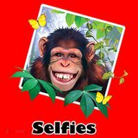 Selfies - Chimp Funny Selfie  Santa Hat thumb 1