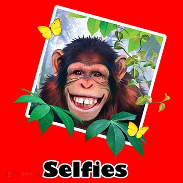 Selfies - Chimp Funny Selfie  Santa Hat