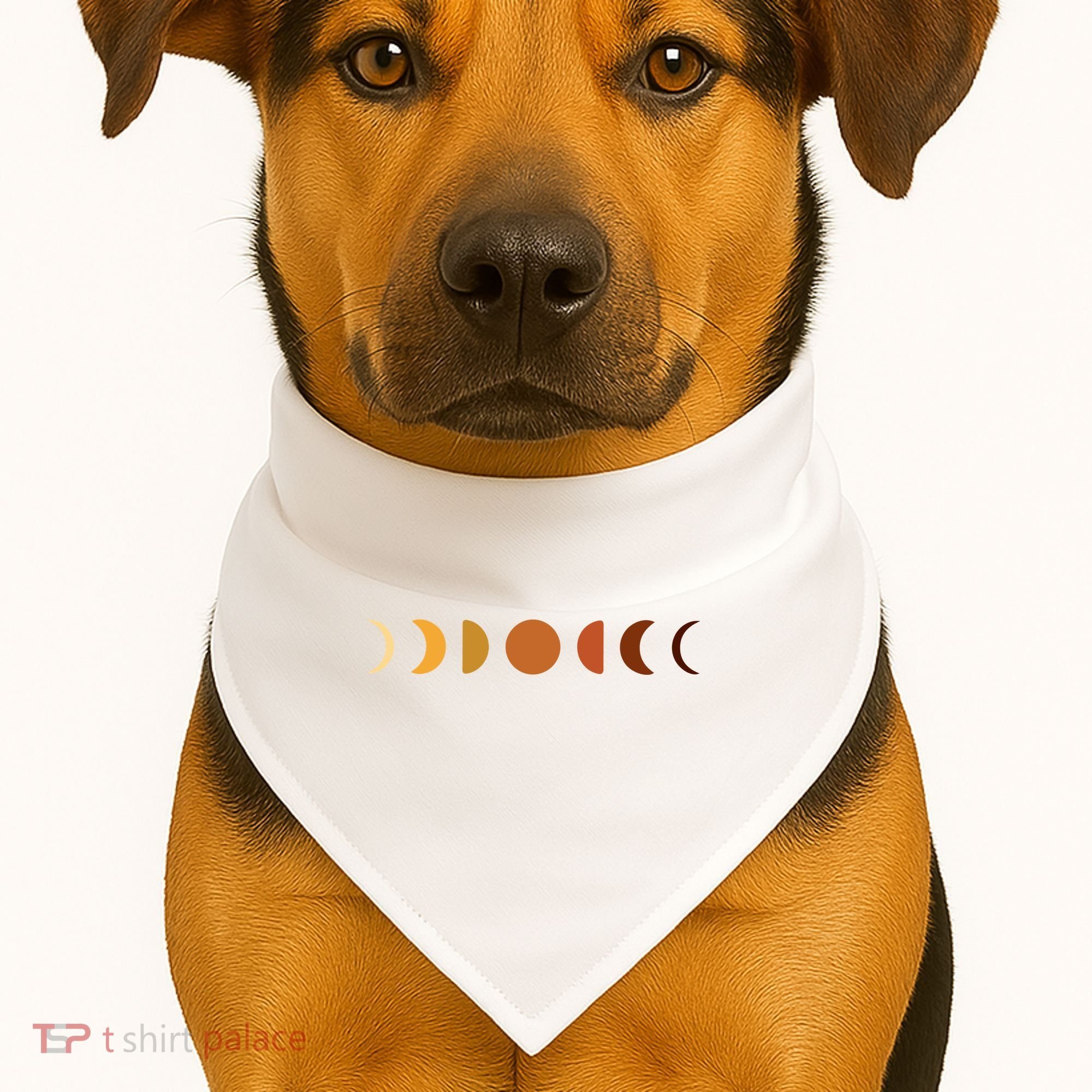 Solar Eclipse Moon USA-Made Doggie Bandana