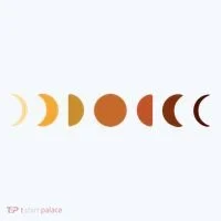 Solar Eclipse Moon Kids T-Shirt thumb 4