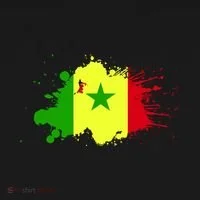 Senegal Flag Grunge Kids Long Sleeve Shirt thumb 2