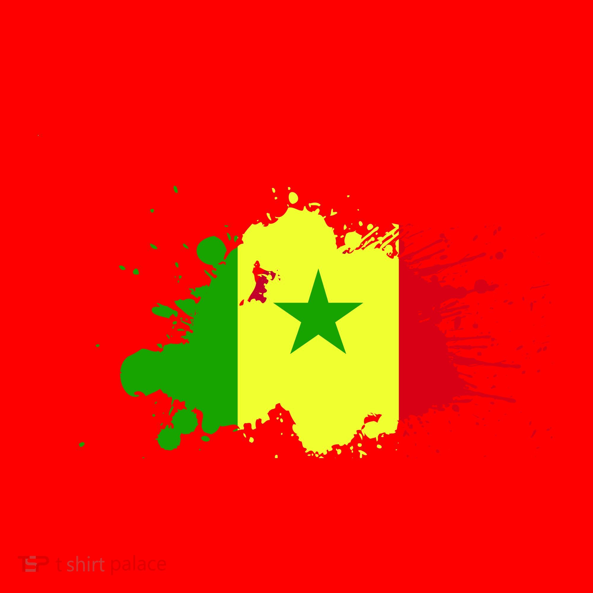 Senegal Flag Grunge Santa Hat