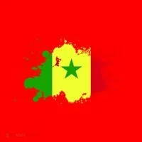 Senegal Flag Grunge Santa Hat thumb 1
