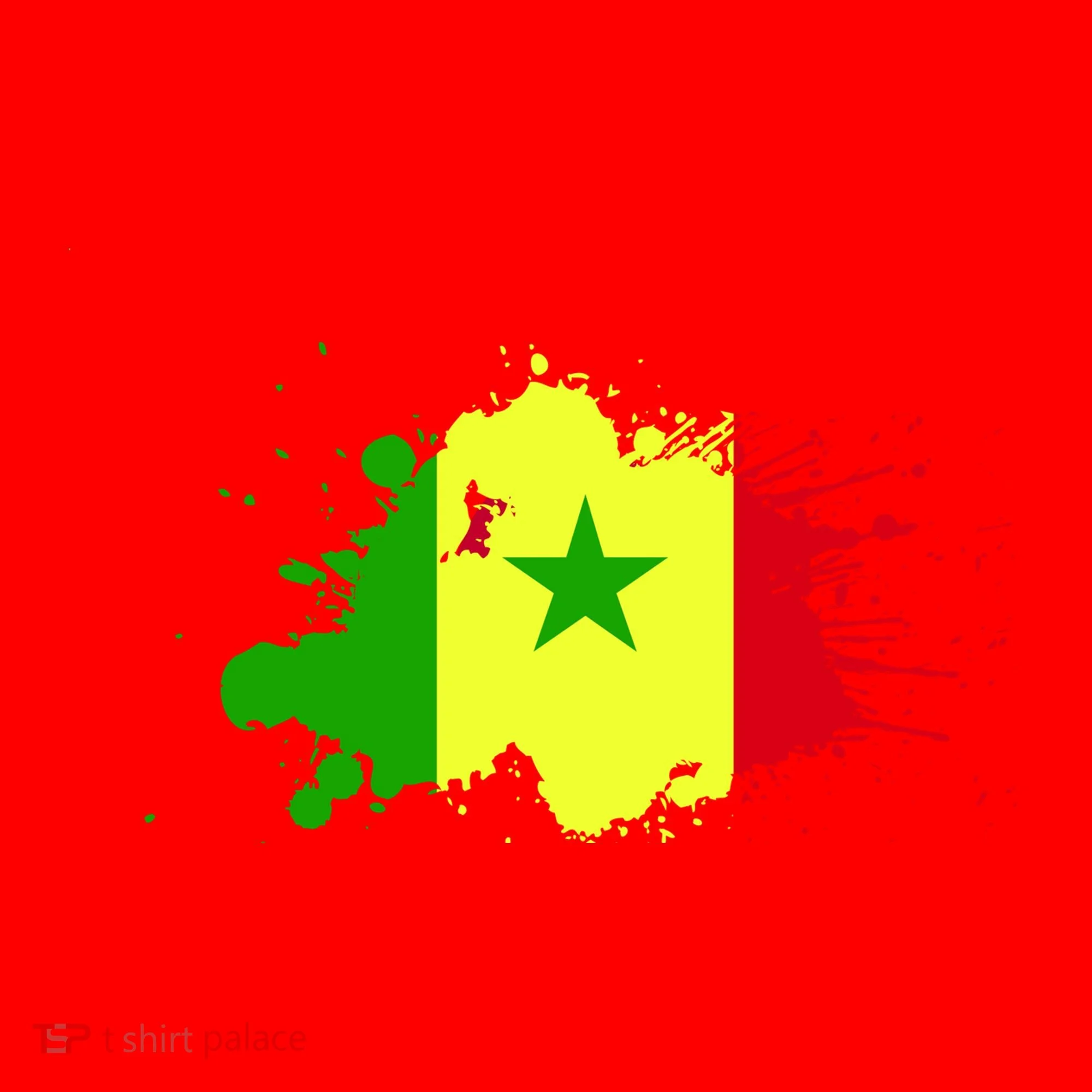 Senegal Flag Grunge Santa Hat