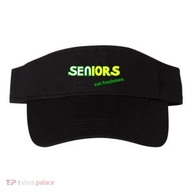 Visor