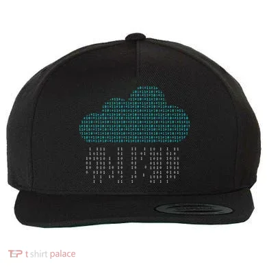 Software Engineer Programming Computer Developer Coder Wool Snapback Cap
