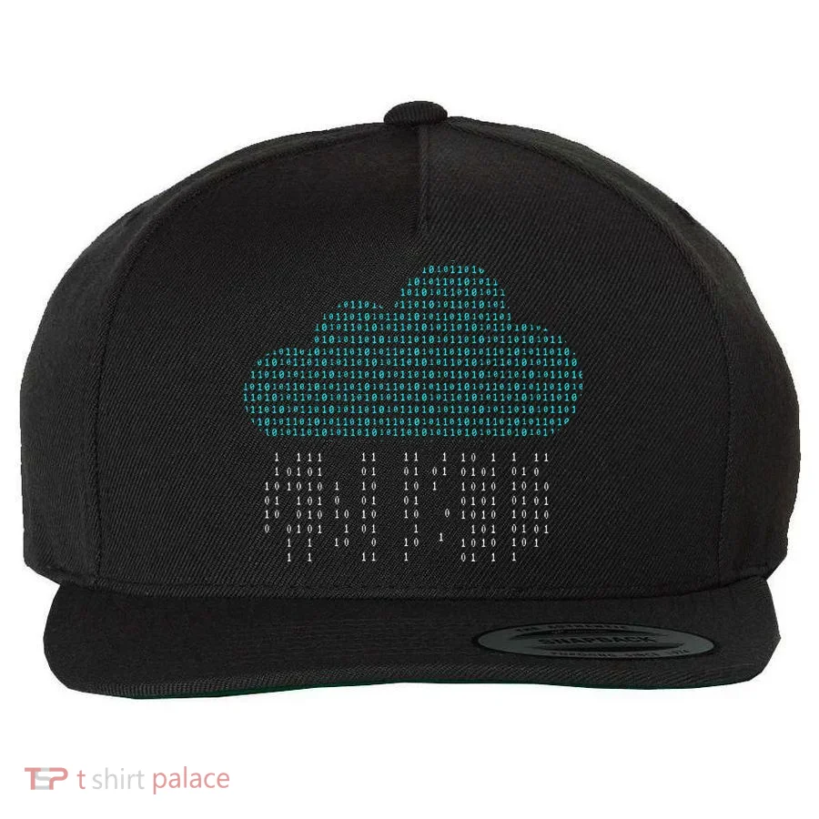 Software Engineer Programming Computer Developer Coder Wool Snapback Cap