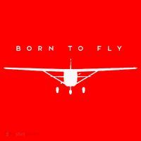 Single Engine Prop Airplane Born to Fly Santa Hat thumb 1
