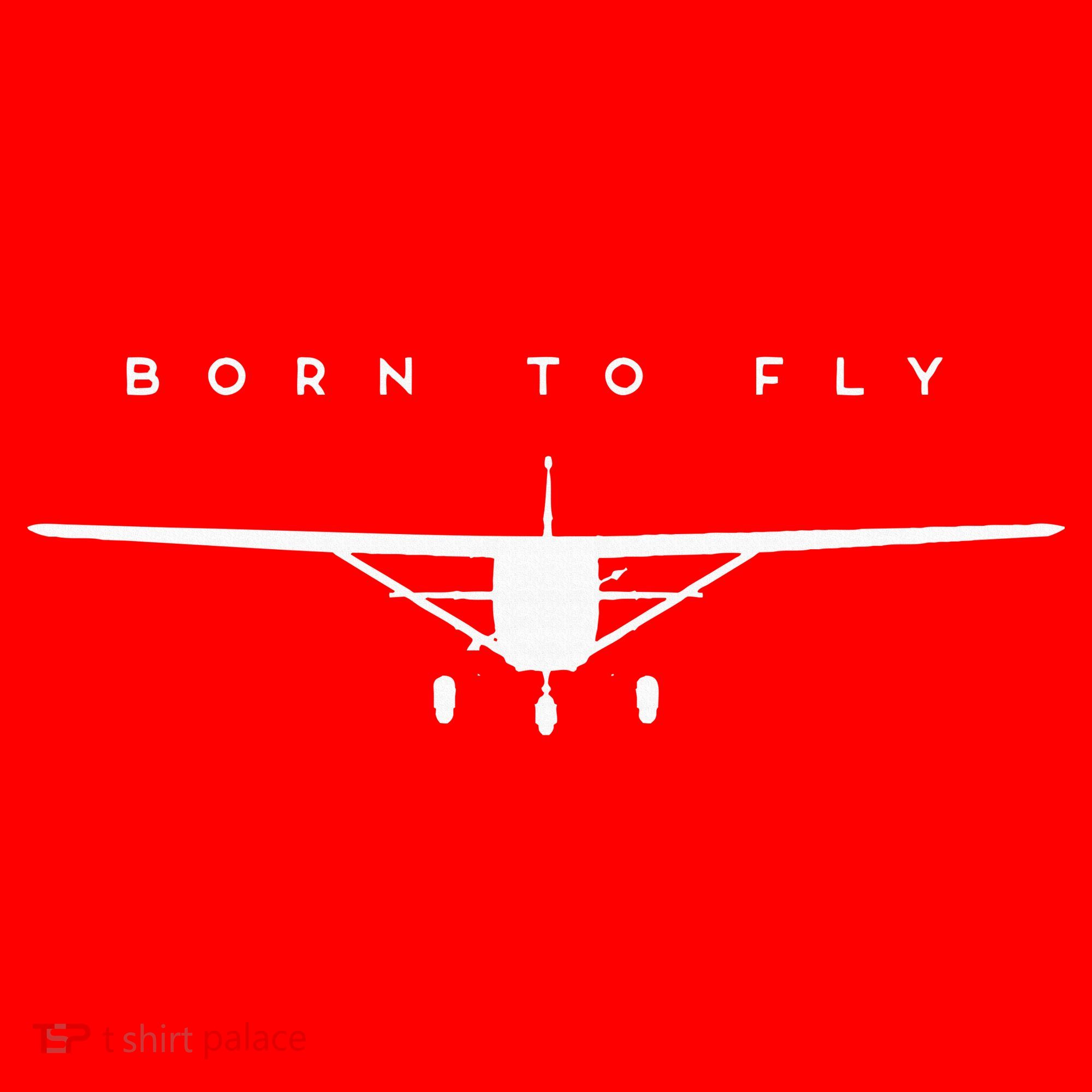 Single Engine Prop Airplane Born to Fly Santa Hat