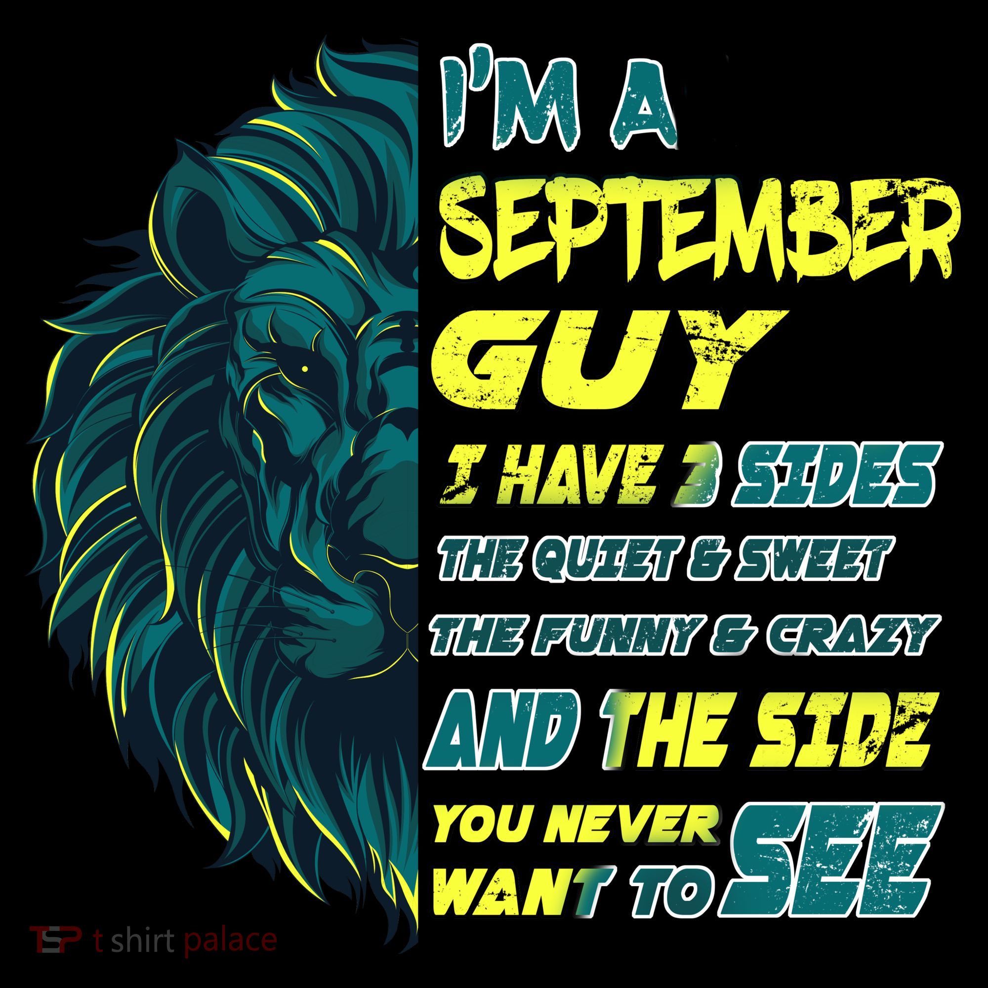 September Birthday Guy Has 3 Sides Sweet Funny Crazy  Ornament