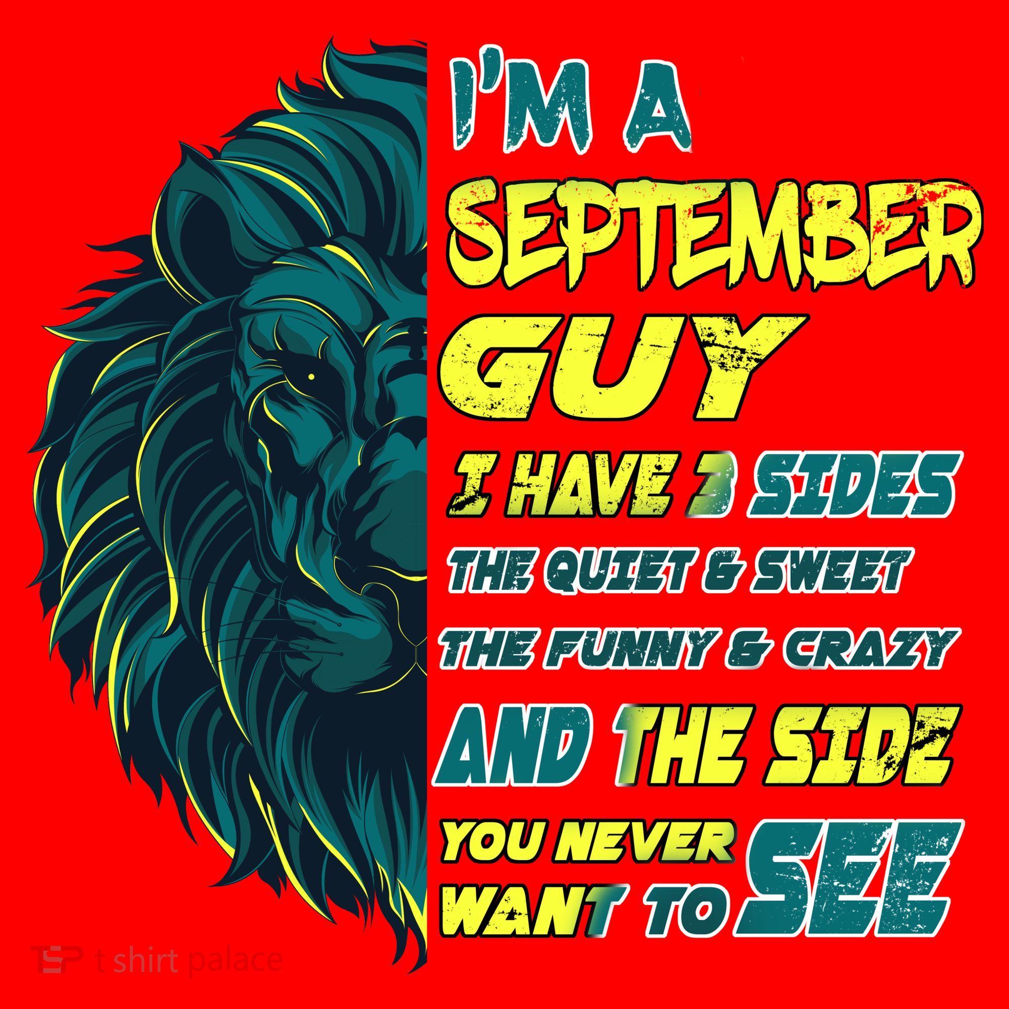 September Birthday Guy Has 3 Sides Sweet Funny Crazy  Santa Hat