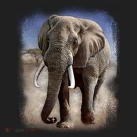 Safari Elephant Beanie thumb 2