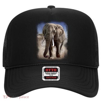 Safari Elephant Hat