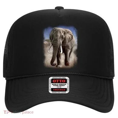 Safari Elephant Hat