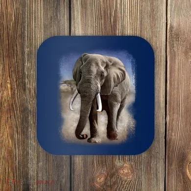 Coaster
