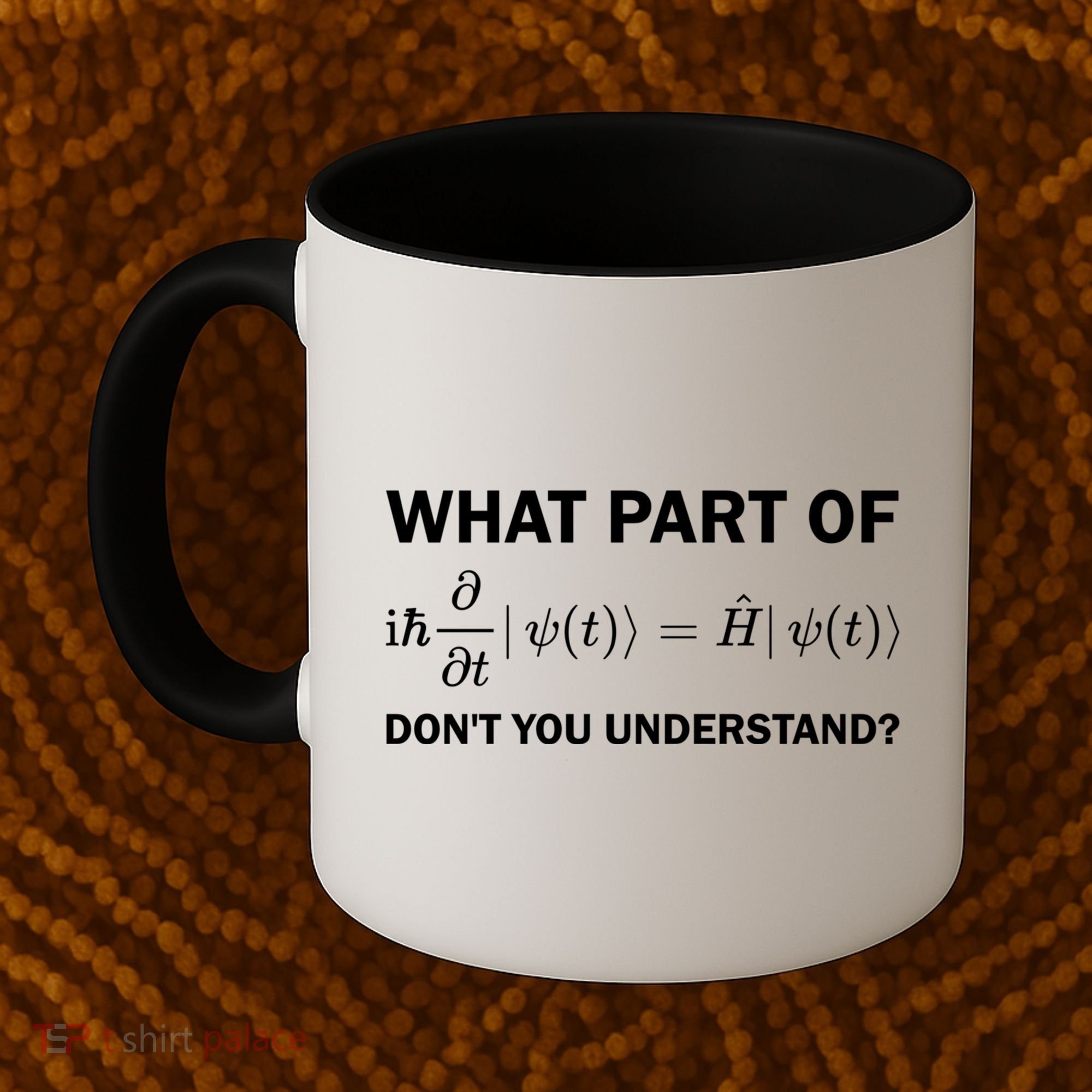 Schrödinger Equation Science Funny Physics Saying Physicist Great Gift Coffee Mug