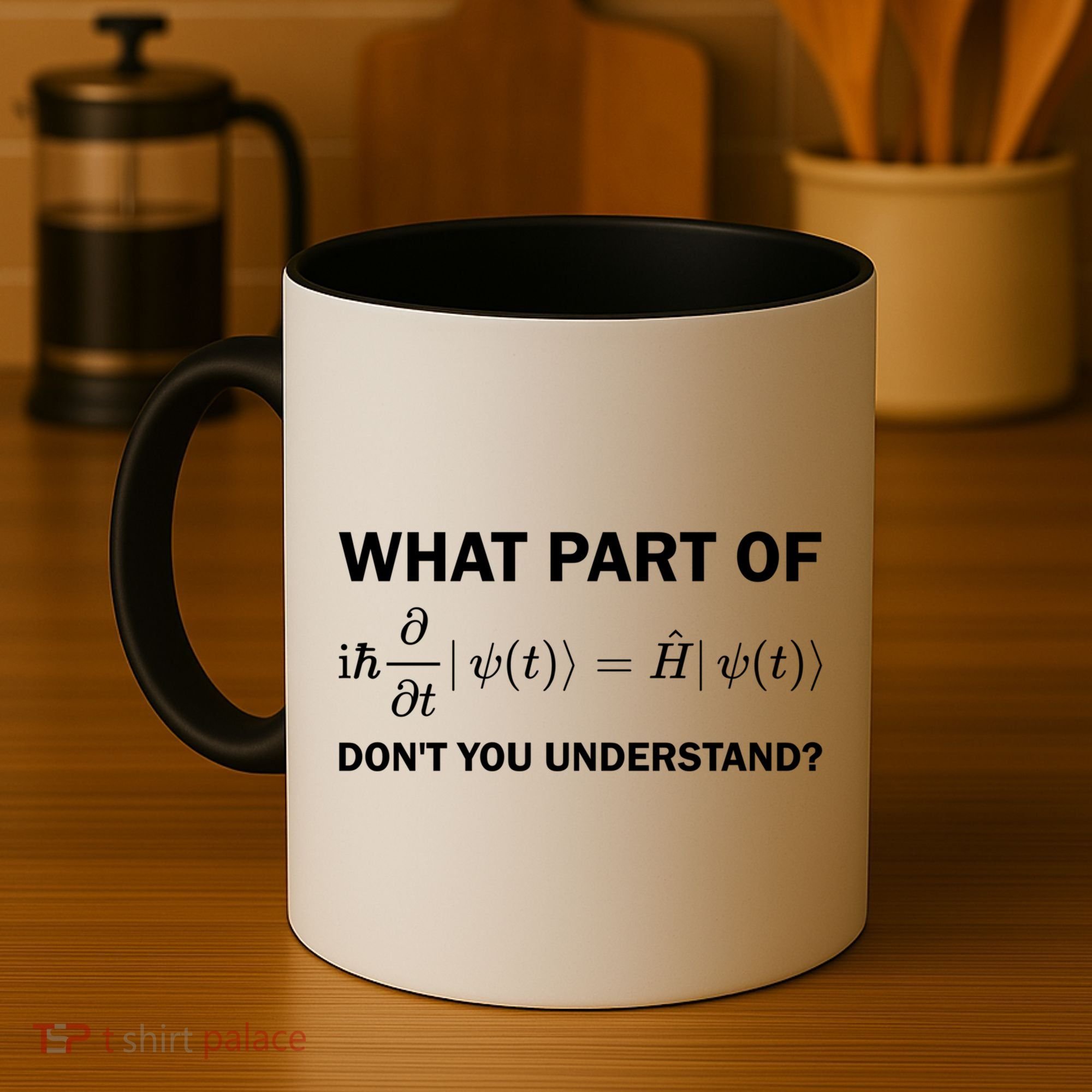 Schrödinger Equation Science Funny Physics Saying Physicist Great Gift Coffee Mug