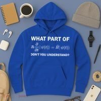 Schrödinger Equation Science Funny Physics Saying Physicist Great Gift Hoodie thumb 3