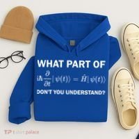 Schrödinger Equation Science Funny Physics Saying Physicist Great Gift Hoodie thumb 4