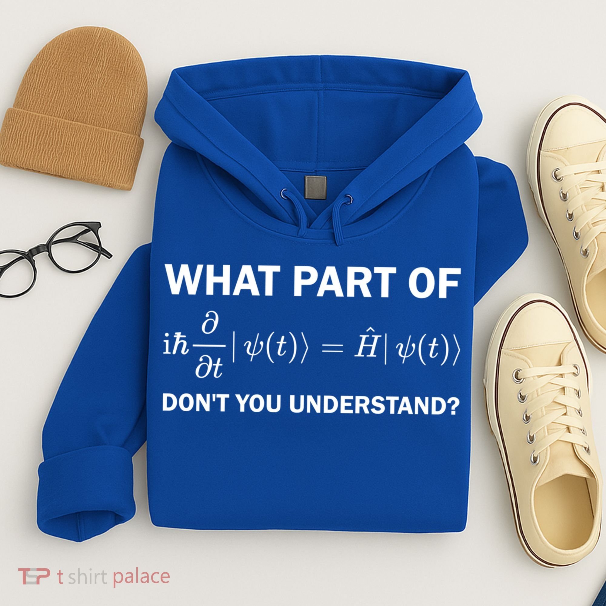Schrödinger Equation Science Funny Physics Saying Physicist Great Gift Hoodie
