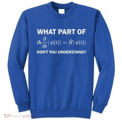 Schrödinger Equation Science Funny Physics Saying Physicist Great Gift Sweatshirt