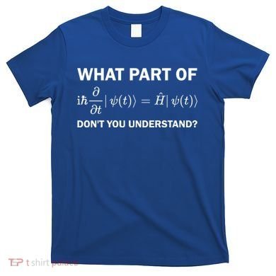 Schrödinger Equation Science Funny Physics Saying Physicist Great Gift T-Shirt