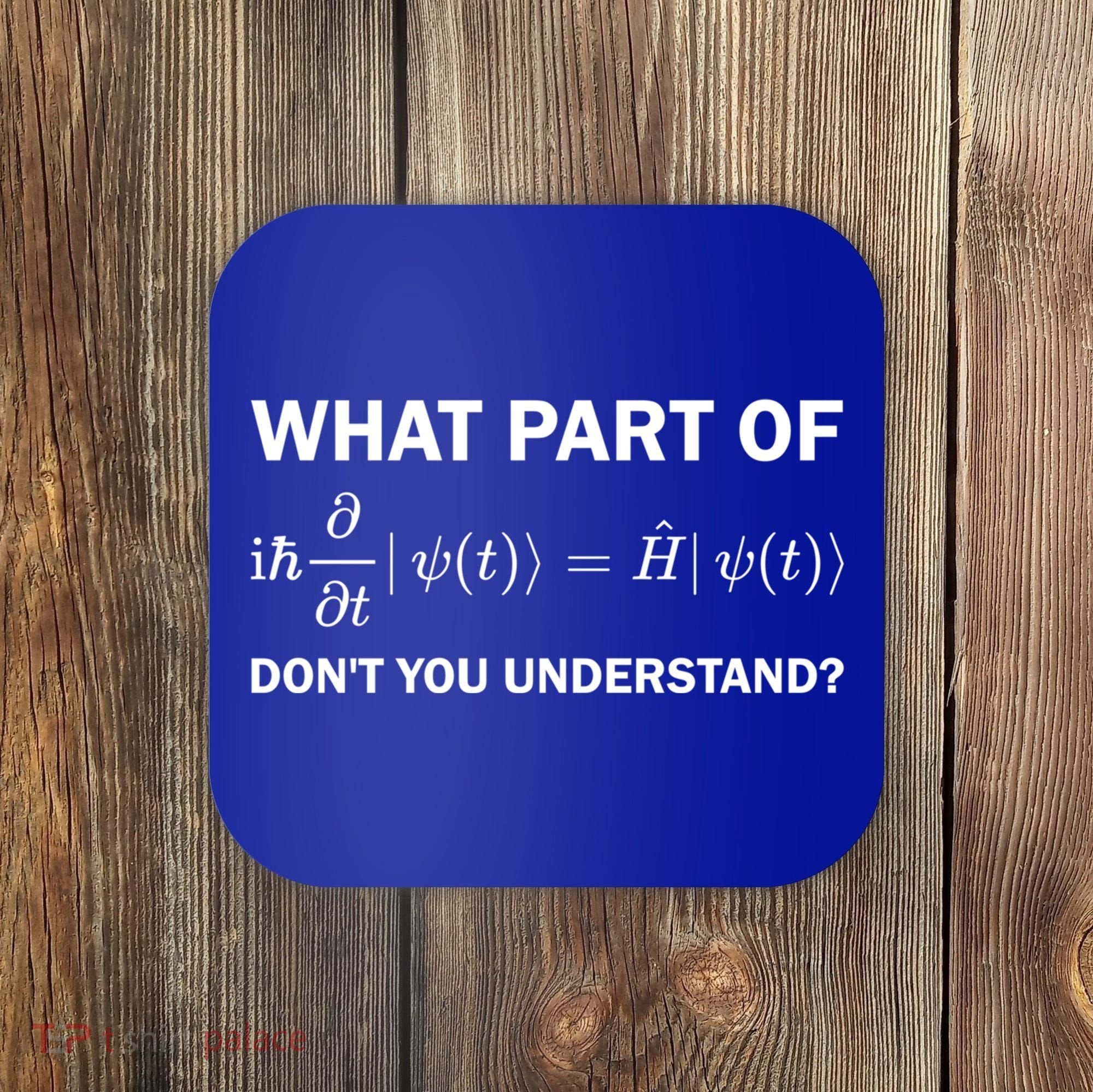 Schrödinger Equation Science Funny Physics Saying Physicist Great Gift Coaster
